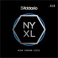 D`ADDARIO NYS018