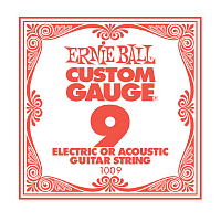 Ernie Ball 1009